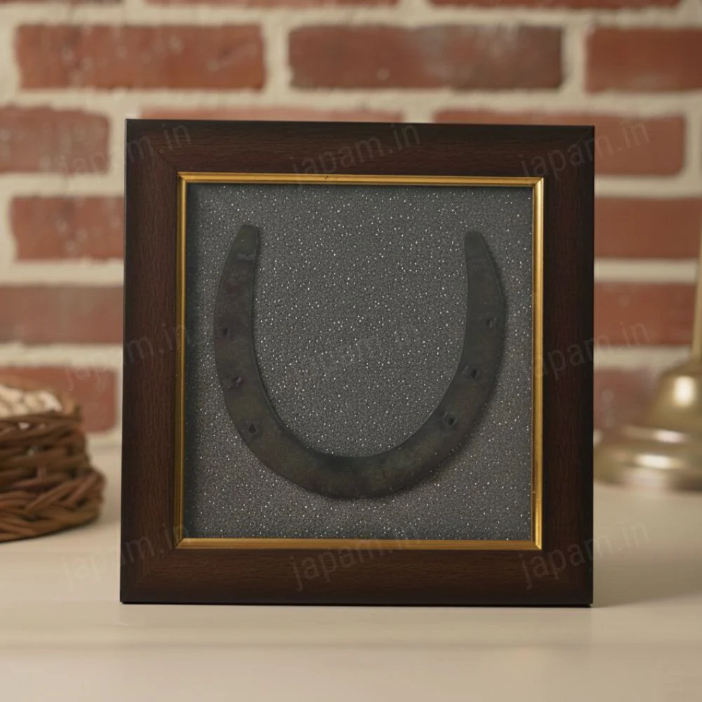 Horse Shoe Pyrite Frame